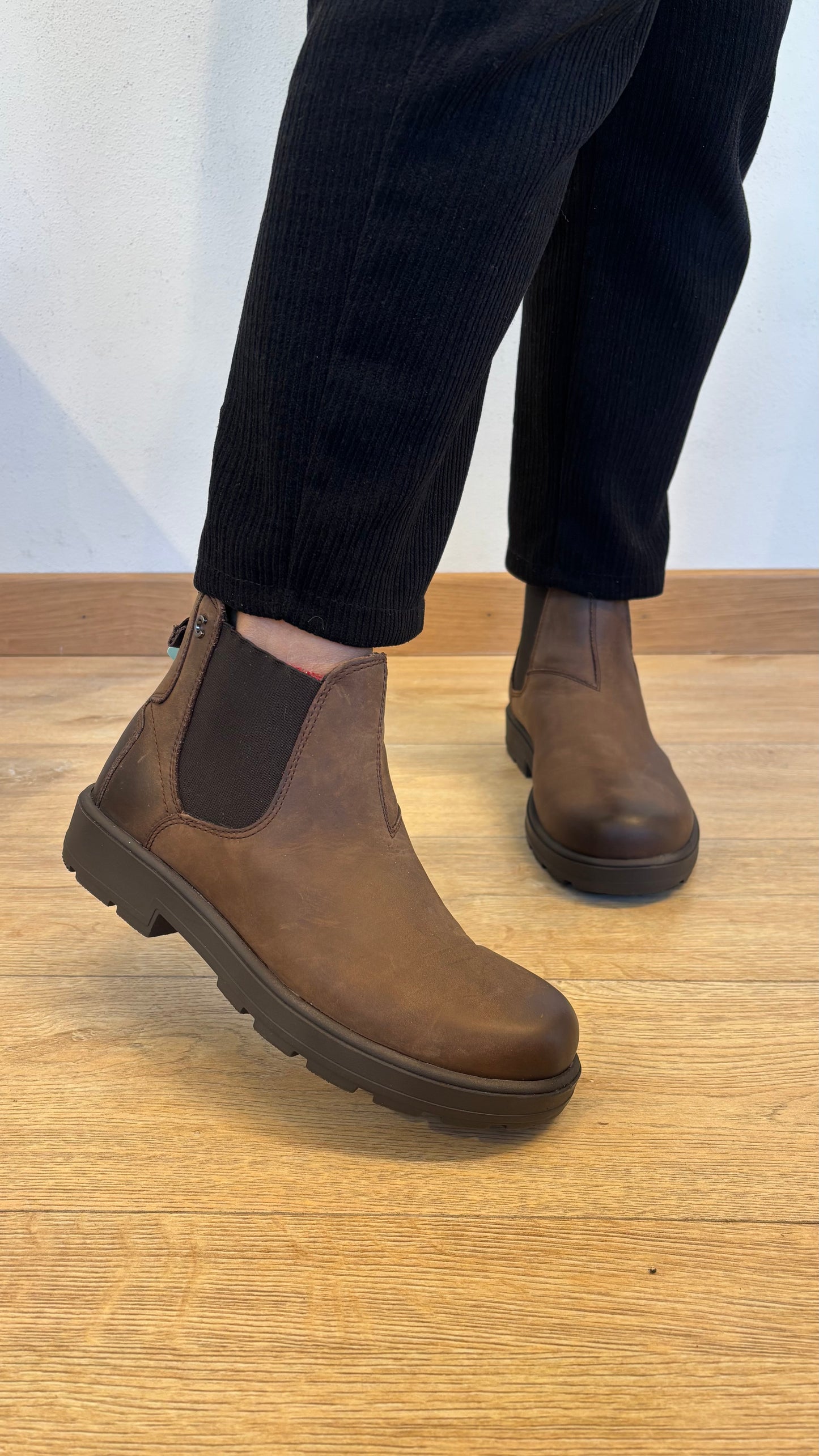 Cinzia Soft Beatles | 29