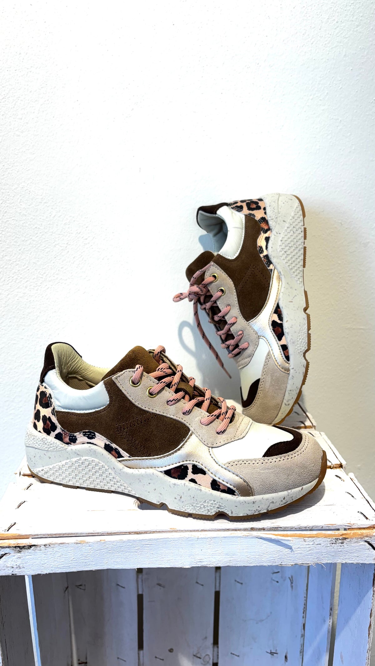 Latika animalier