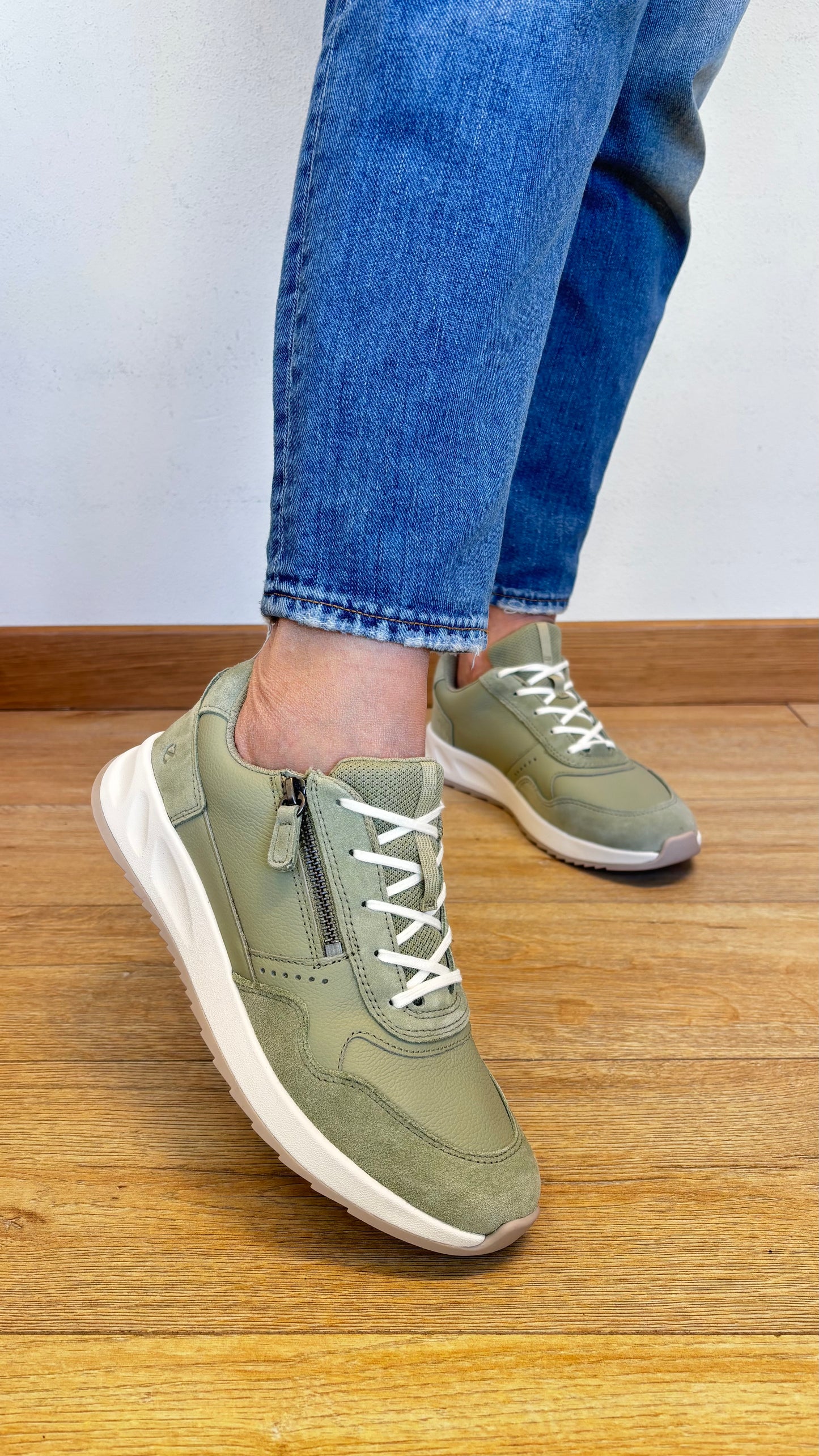 Ecco salvia | 1023