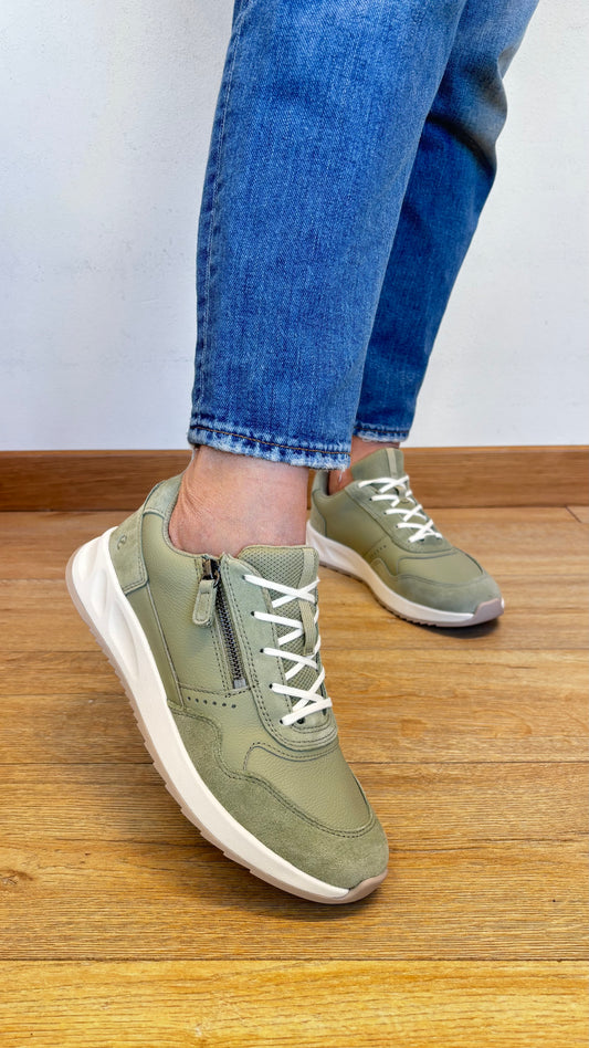 Ecco salvia | 1023