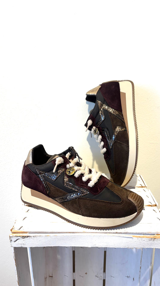 Cetti brown